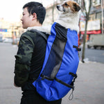 Small and medium-sized dog backpack