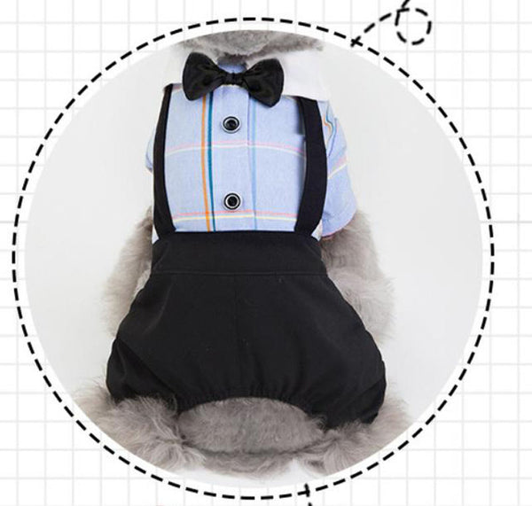 Pet clothing spring and summer new dog clothes couples wear student suits Teddy Bichon Pomeranian clothes