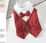 Pet dog suit summer thin teddy suit shirt suit wedding dress