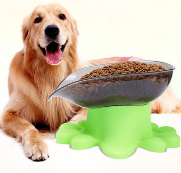 Pet feeder for large dogs