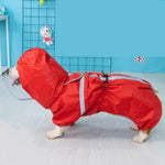 Corgi dog raincoat