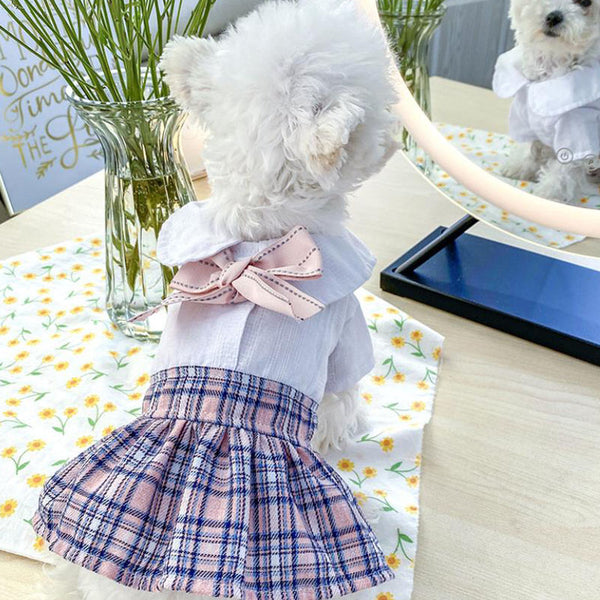 Pet dog cat spring and summer new skirt