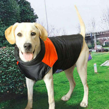 Pet warm down jacket ski suit winter jacket warm clothing