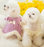 Autumn and winter little dog little fragrant princess dress