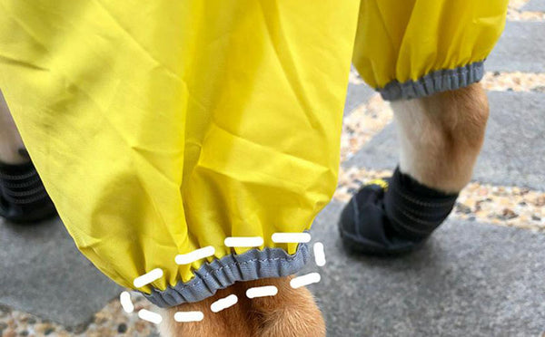 Shiba inu dog raincoat