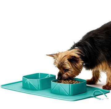 Silicone folding pet bowl