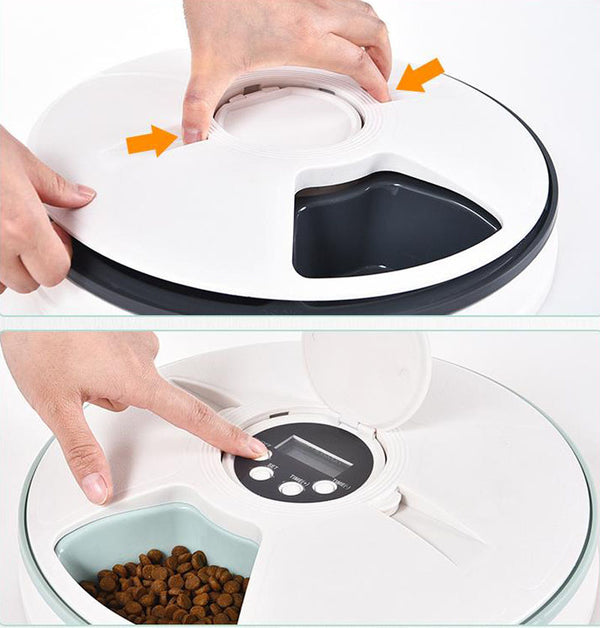 Pet six-hole intelligent timing and quantitative automatic feeder