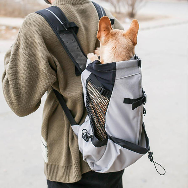 Mochilas para perros discount medianos