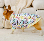 Autumn and winter full-print English corgi sweater small and medium-sized dogs and dogs two-legged fleece warm spring pet dog clothes