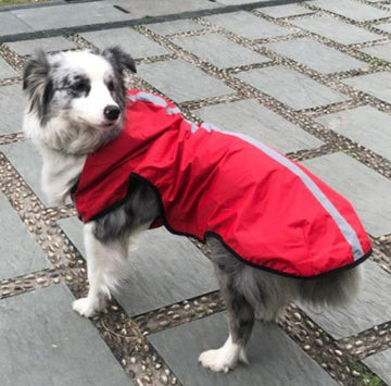 New dog raincoat waterproof vest outdoor pet clothes