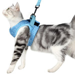 Cat chest harness traction rope