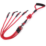 Detachable multi-head traction rope