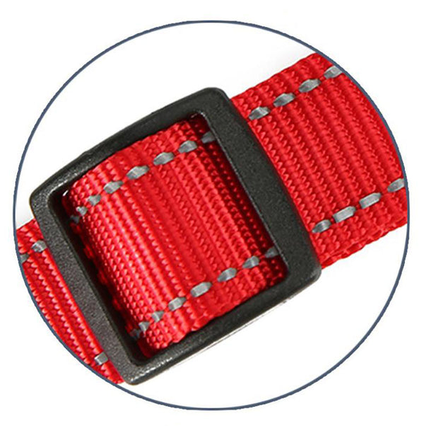 Pet car explosion-proof Okinawa traction rope