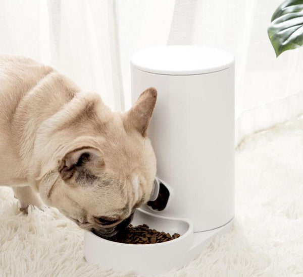 Fontaine à boire intelligente pour alimentateur d'eau potable automatique pour animaux de compagnie