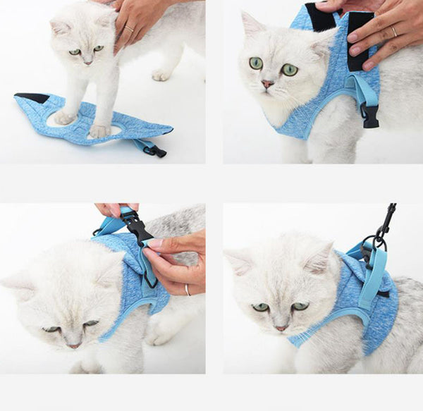 Cat chest harness traction rope