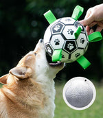 Dog training interactive football toy Bianmu corgi rubber ball molar bite-resistant small large dog