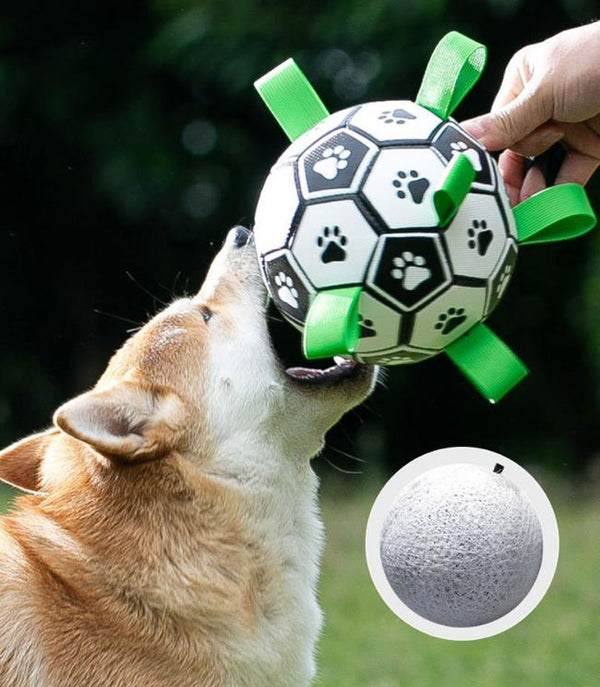 Dog training interactive football toy Bianmu corgi rubber ball molar bite-resistant small large dog