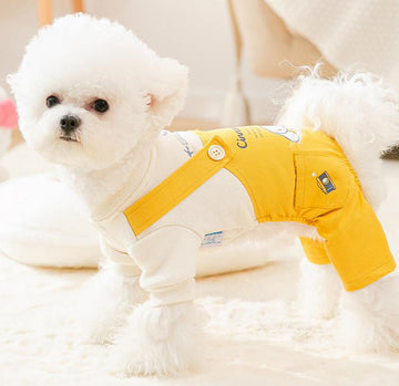 Puppy four feet autumn and winter clothes