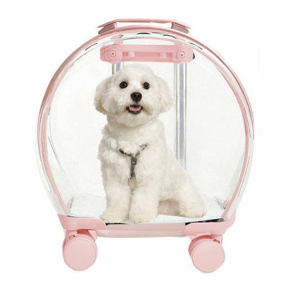 Pet trolley case out portable transparent cat and dog bag multifunctional pet backpack