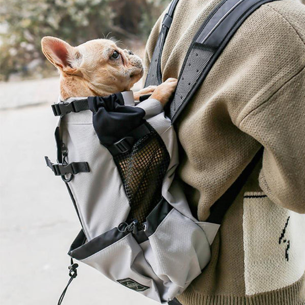 Small and medium-sized dog backpack