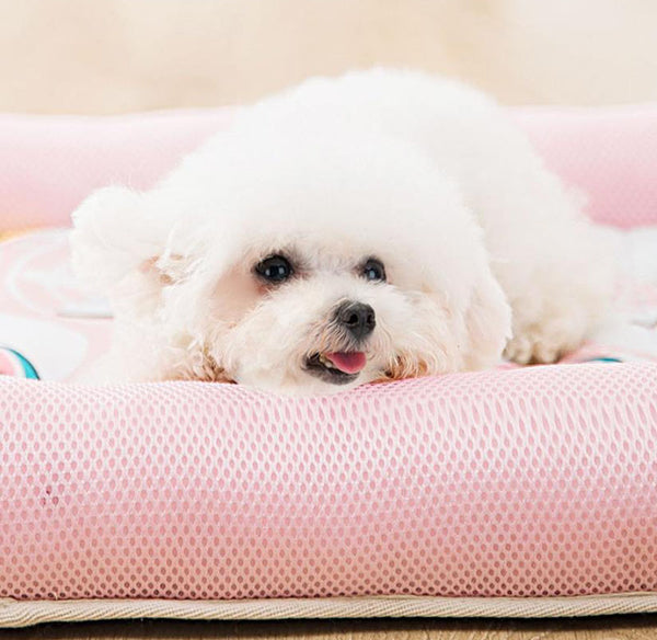 Summer dog and cat mat nest