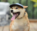 Gorra de béisbol con visera solar para mascotas Four Seasons