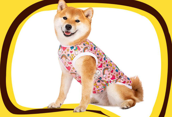 Vêtements pour chiens moyens et grands, printemps et automne, chemise d'été pour animaux de compagnie Labrador Shiba