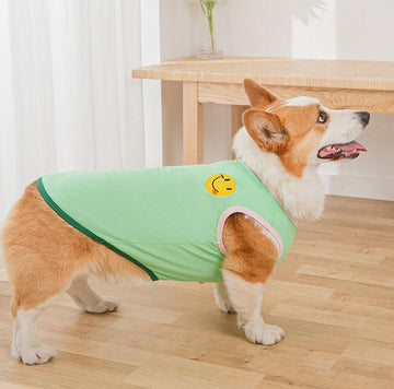 Gilet de printemps fin d'été Corgibago Fadou