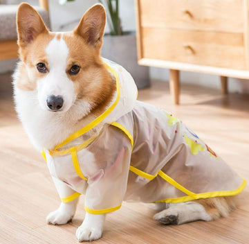 Corgi raincoat protects belly puppies special waterproof clothes