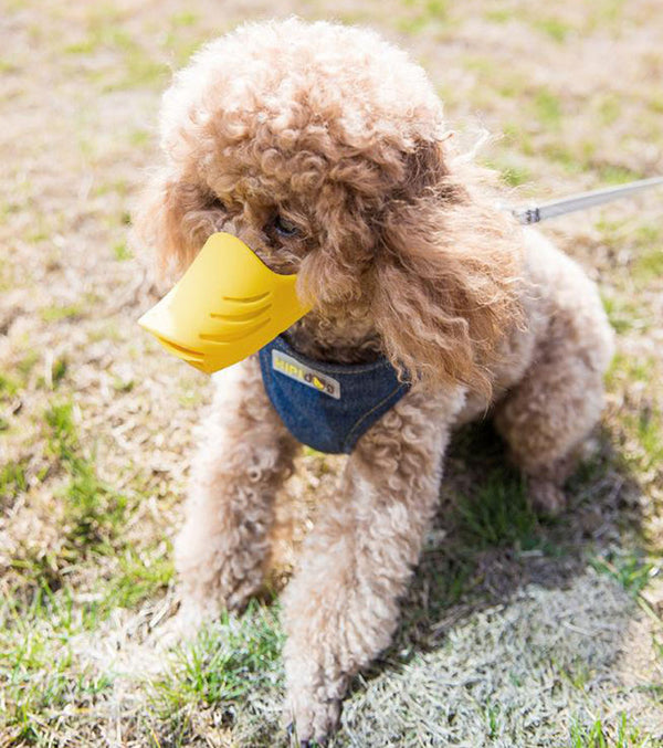 Dog mouth cover anti-biting anti-indiscriminate eating and barking device medium-sized small dog Teddy silicone duck mouth cover