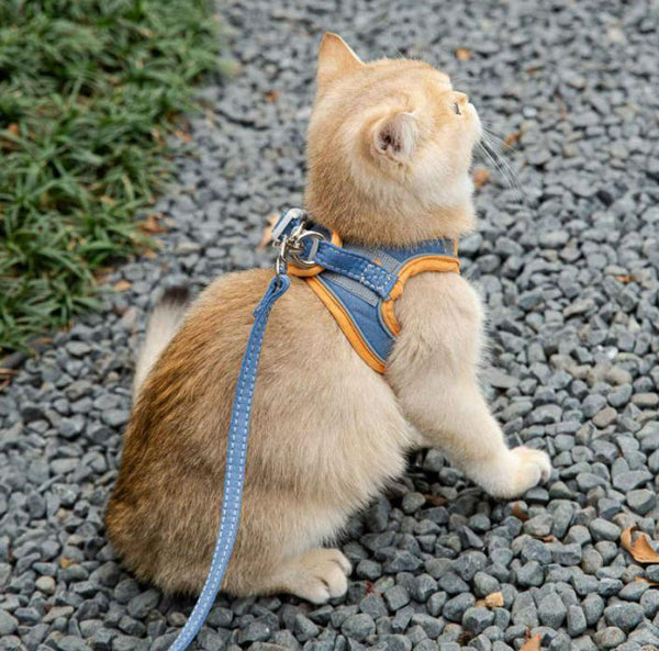 Cat leash vest type chest strap to prevent break free