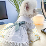 Pet dog cat spring and summer new skirt