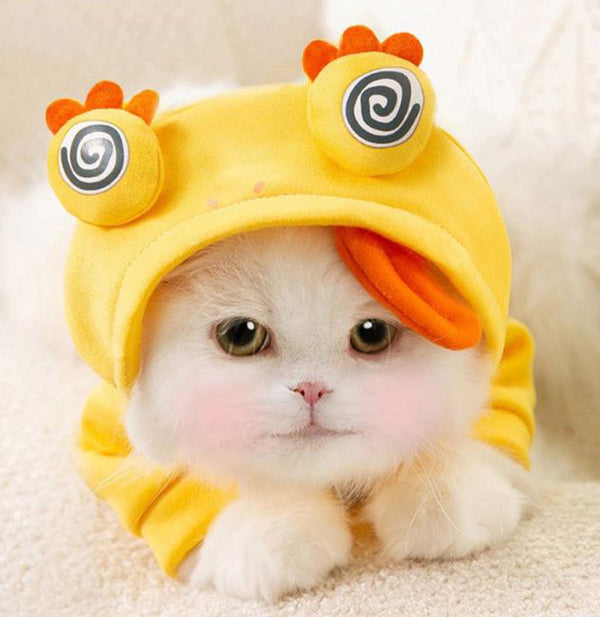 Autumn and winter hooded sweater funny cute cat feet pet clothes