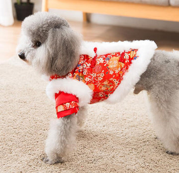 Festive warm clothes for dogs and cats