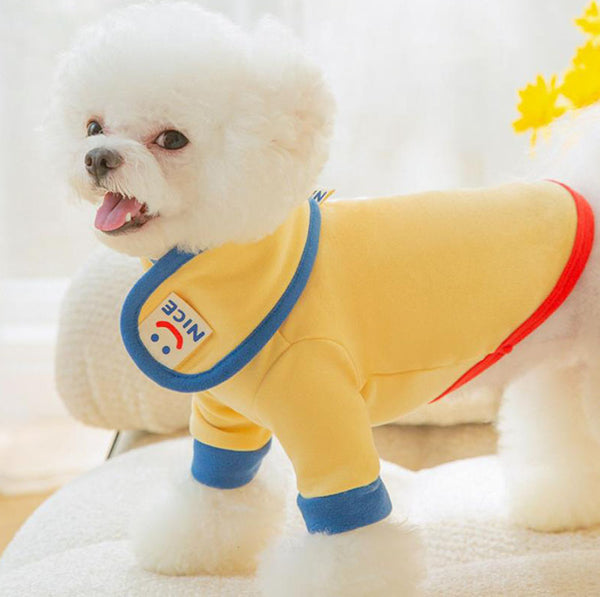 Autumn and winter small and medium-sized dog thin fleece sweater two feet cute wind warm pet dog clothes