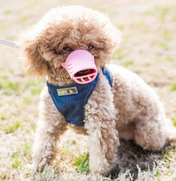 Dog mouth cover anti-biting anti-indiscriminate eating and barking device medium-sized small dog Teddy silicone duck mouth cover