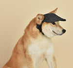 Gorra de béisbol con visera solar para mascotas Four Seasons