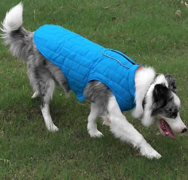 Autumn and winter pet waterproof clothes two-color plaid dog padded winter jacket