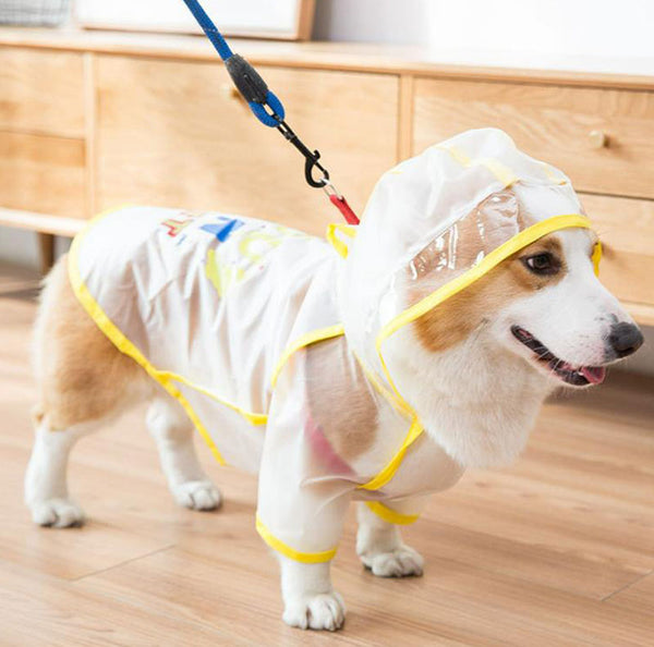 Corgi raincoat protects belly puppies special waterproof clothes