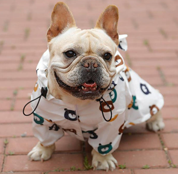 Bull dog raincoat puppy dog waterproof clothes