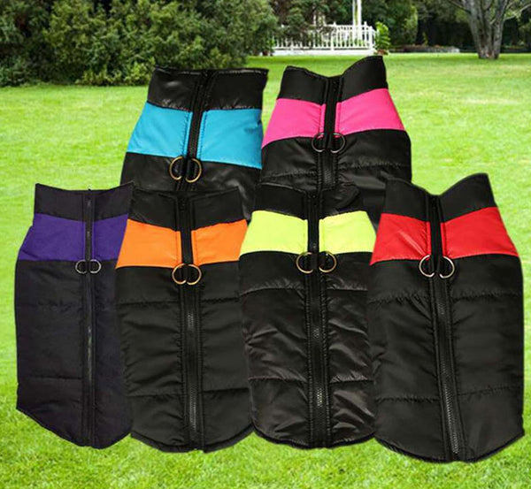 Pet warm down jacket ski suit winter jacket warm clothing