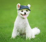 Large and medium puppy dog cap