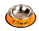 Painted stainless steel pet single bowl