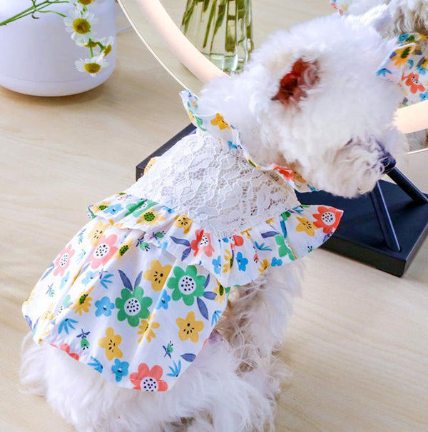 Pet dog cat spring and summer new skirt