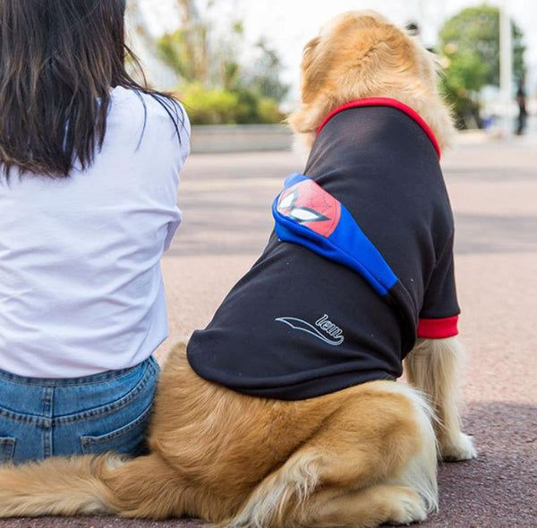 春のスタイル、薄いスタイル、中型から大型の犬の服、夏のスタイル、流行の真新しいペットの服