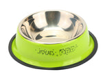 Painted stainless steel pet single bowl