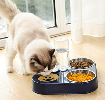 Three bowls of automatic drinking water for dogs and cats