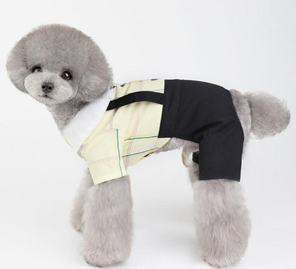 Pet clothing spring and summer new dog clothes couples wear student suits Teddy Bichon Pomeranian clothes