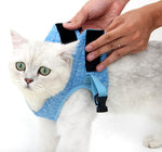 Cat chest harness traction rope