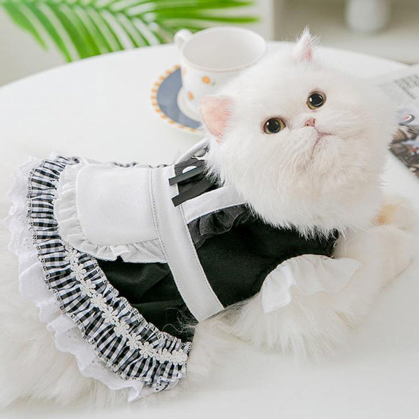 Cat skirt